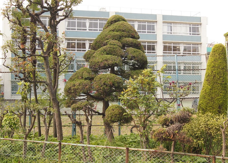 中学校　私立成女学園中学校（中学校）まで280m
