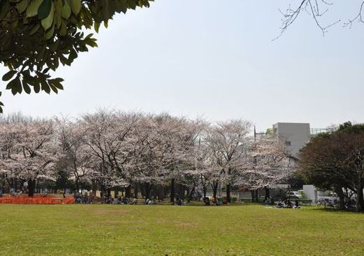 公園　戸越一丁目緑地（公園）まで864m
