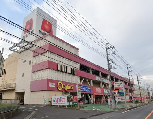 その他　マルハン 柏店（その他）まで1110m