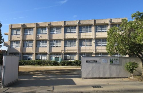 中学校　金岡南中学校（中学校）まで1200m