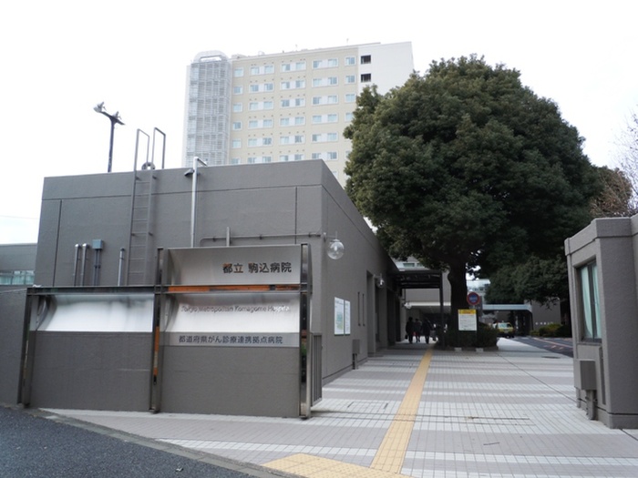 小学校　都立駒込病院（小学校）まで635m
