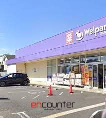 ドラックストア　ウェルパーク西東京新町店（ドラッグストア）まで550m