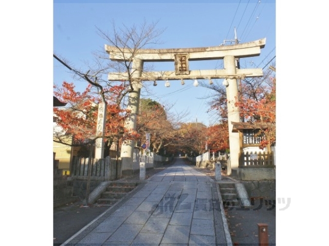 その他　向日神社（その他）まで800m