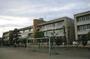 小学校　太田市立綿打小学校（小学校）まで3691m