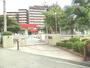 幼稚園・保育園　豊中市立　しんでんこども園（幼稚園・保育園）まで449m