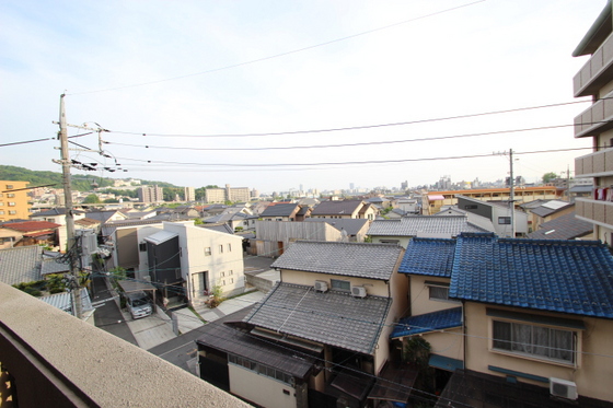 眺望　※別部屋の写真です