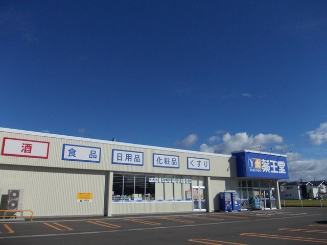 ドラックストア　薬王堂　薬師堂店（ドラッグストア）まで1100m