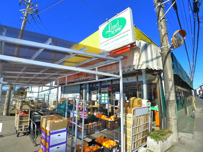 スーパー　ランドローム（スーパー）まで310m