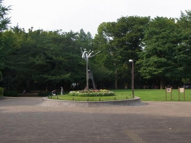 公園　井草森公園（公園）まで220m