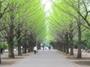 公園　都立光ヶ丘公園　ゆりのき口（公園）まで1245m