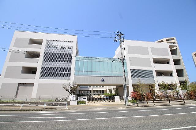 小学校　新潟市立南万代小学校（小学校）まで727m