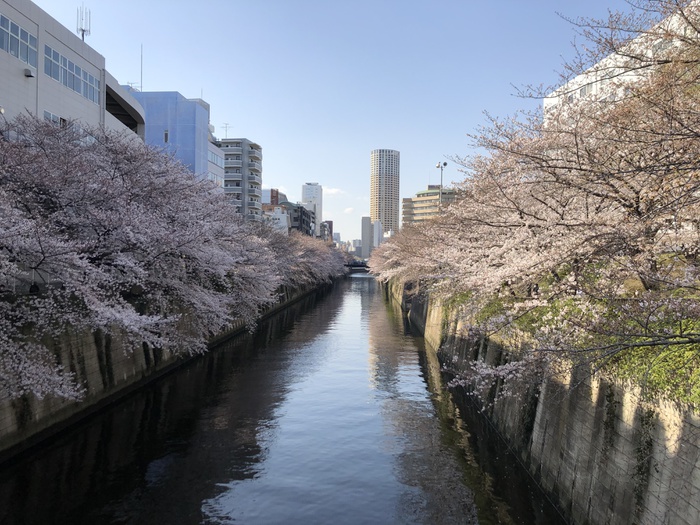 公園　目黒川中里橋（公園）まで86m