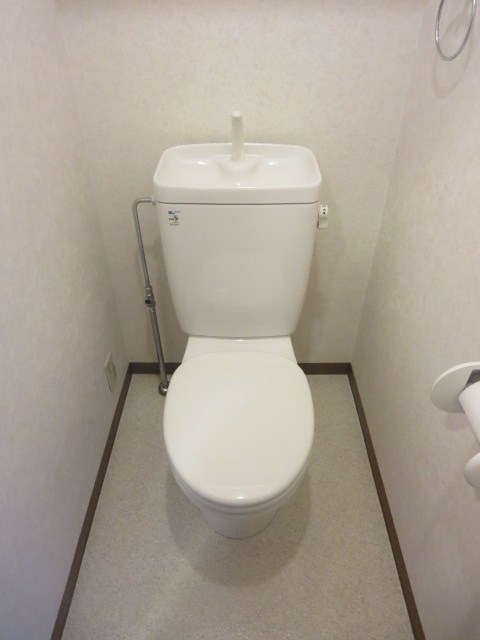 スカイマンションのトイレ写真