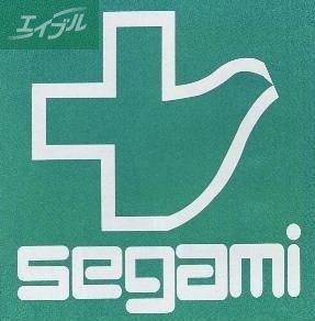ドラックストア　ドラッグセガミ岡山表町店（ドラッグストア）まで198m