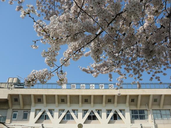 小学校　品川区立旗台小学校（小学校）まで251m