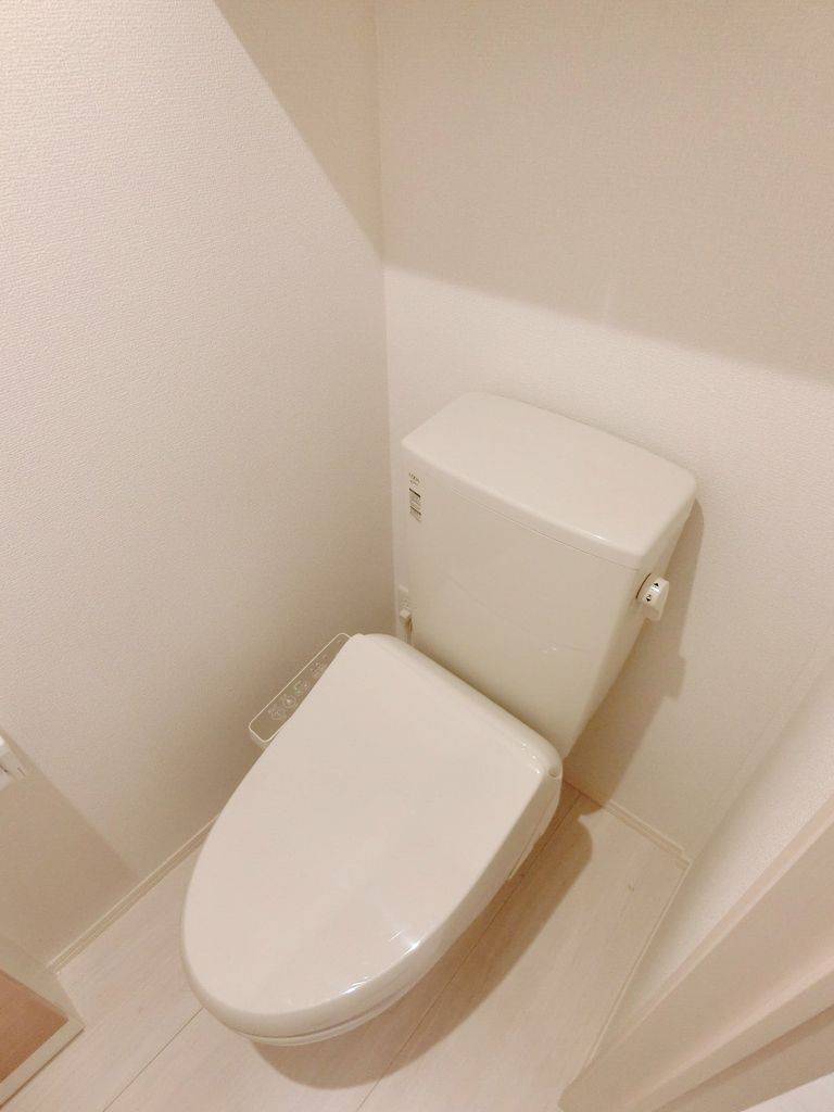 パレス グランディオーサのトイレ写真