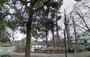 公園　洗足池公園（公園）まで713m
