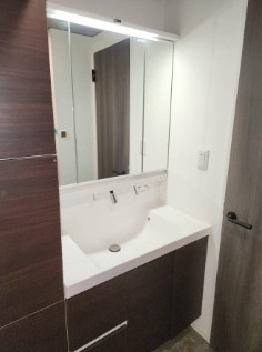 Ts Residence白金高輪の内装写真