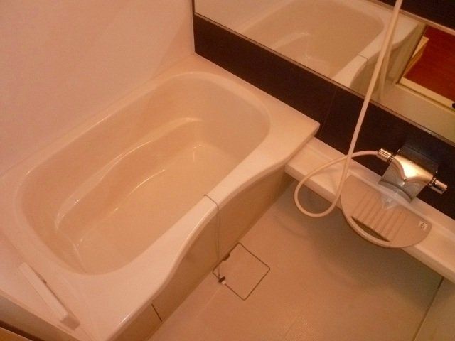 バス・シャワールーム　同仕様タイプの写真です。
