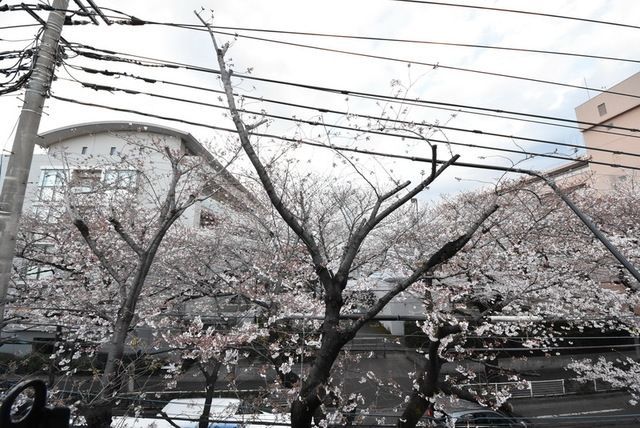 眺望　眺望