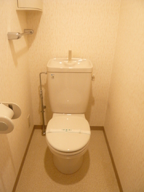 トイレ　トイレも気になるポイント