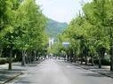 大学・短大　国立岡山大学（大学・短大）まで924m