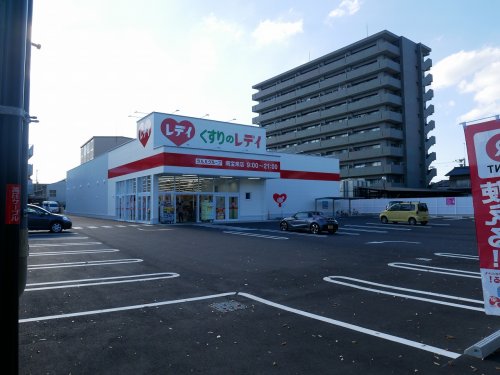 ドラックストア　くすりのレデイ 南宝来店（ドラッグストア）まで858m
