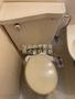 トイレ　白を基調とした空間で清潔感のあるトイレです♪