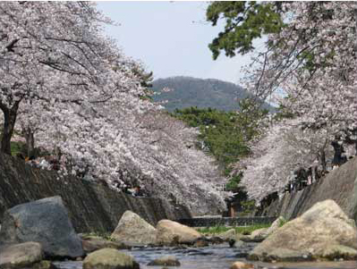 【大井手町戸建の公園】