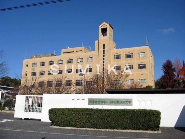 【月光　岡山旭東町の大学・短大】