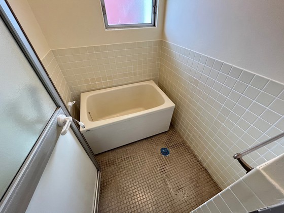 バス・シャワールーム　※別部屋の写真です