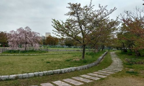 公園　滝が谷公園（公園）まで1292m