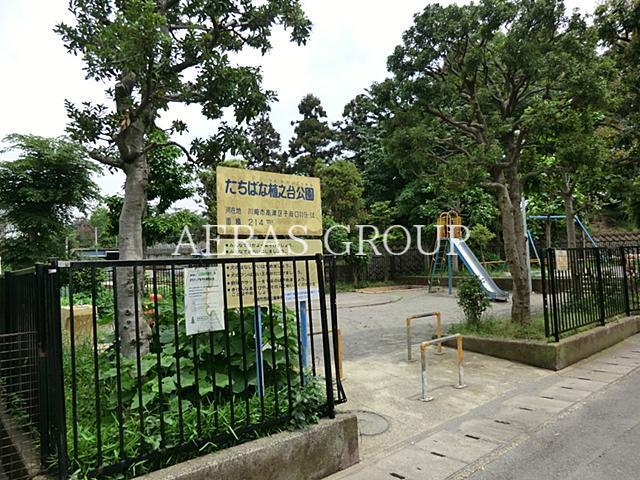 公園　たちばな植之台公園（公園）まで486m