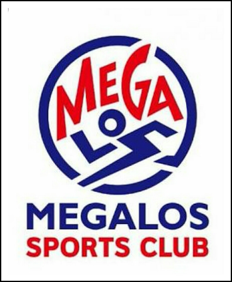 その他　メガロス大和（その他）まで427m