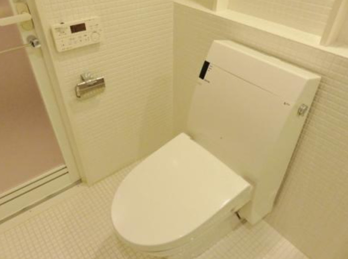 トイレ　※別部屋の参考写真です。