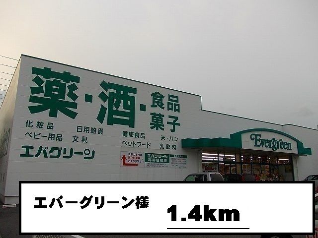 ドラックストア　エバーグリーン様（ドラッグストア）まで1400m