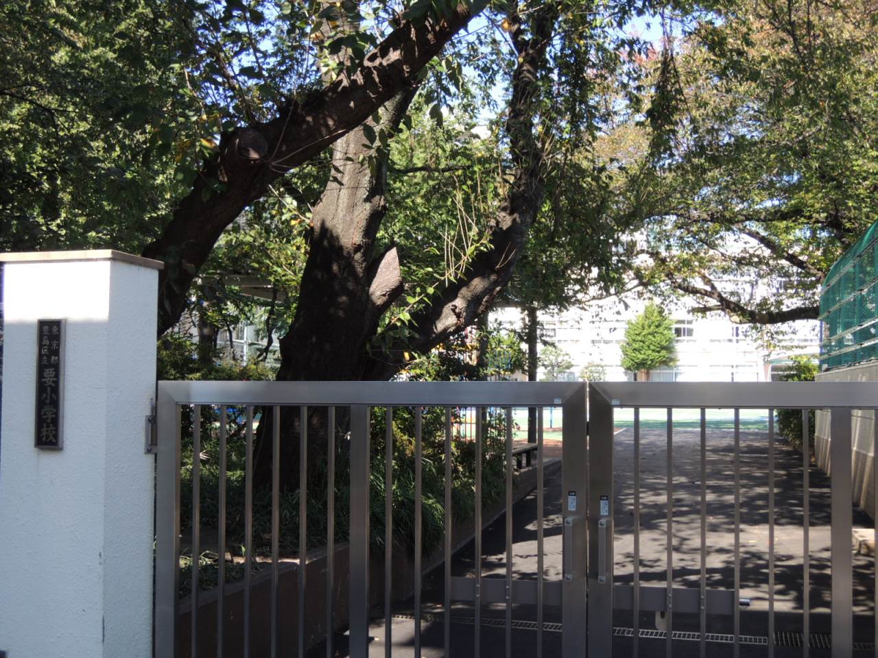 小学校　豊島区立要小学校（小学校）まで287m