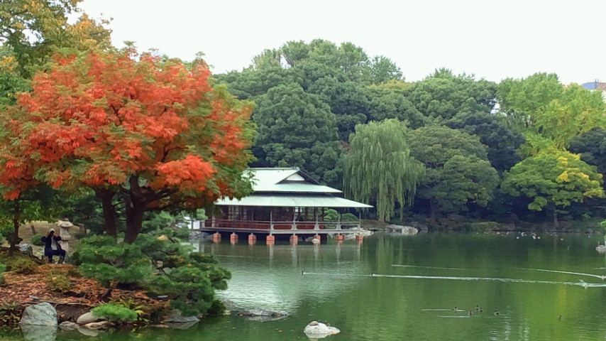 公園　清澄庭園（公園）まで630m