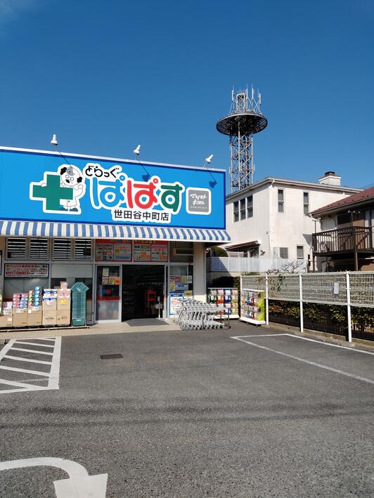 ドラックストア　どらっぐぱぱす世田谷中町店（ドラッグストア）まで419m