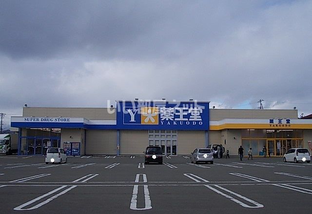 ドラックストア　薬王堂 盛岡厨川店（ドラッグストア）まで1343m