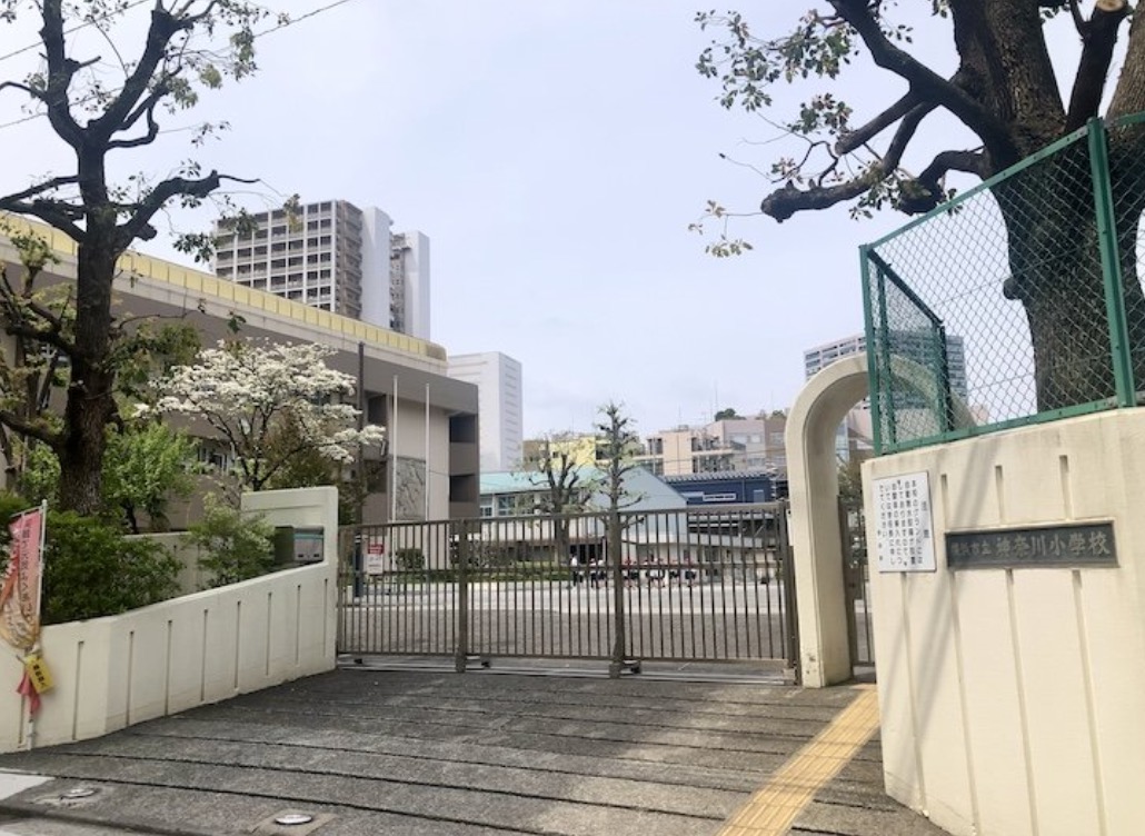 小学校　横浜市立神奈川小学校（小学校）まで437m