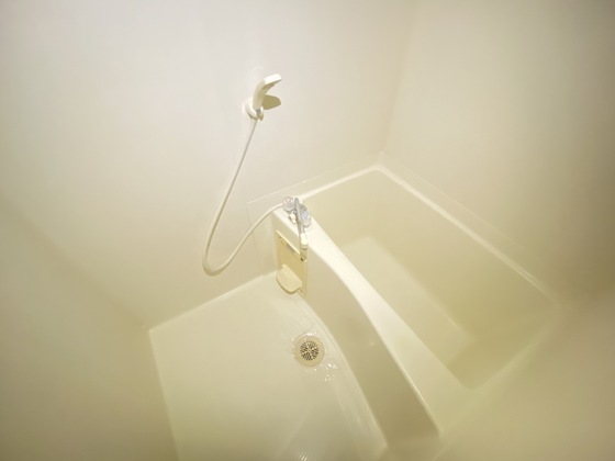 バス・シャワールーム　※別部屋の写真です