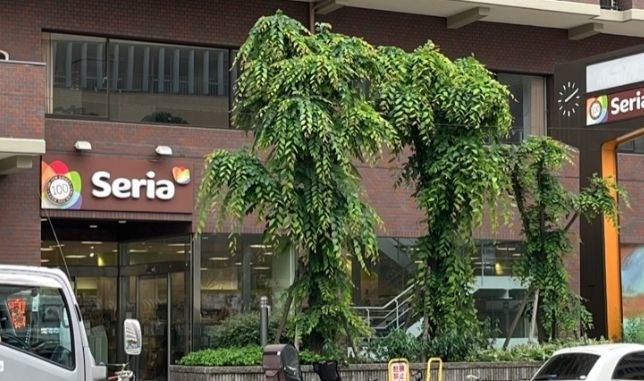 ホームセンター　Seria松屋町店（ホームセンター）まで855m
