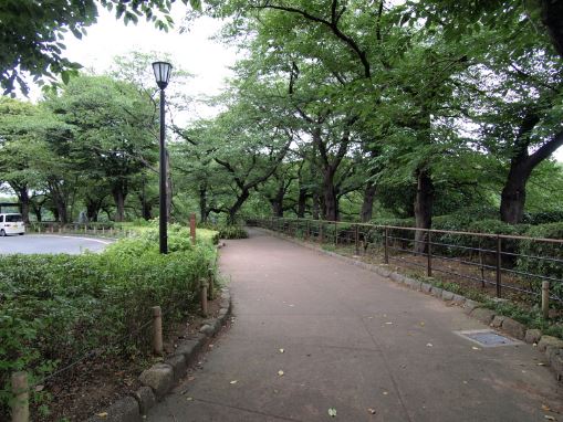公園　千鳥ヶ淵緑道（公園）まで576m