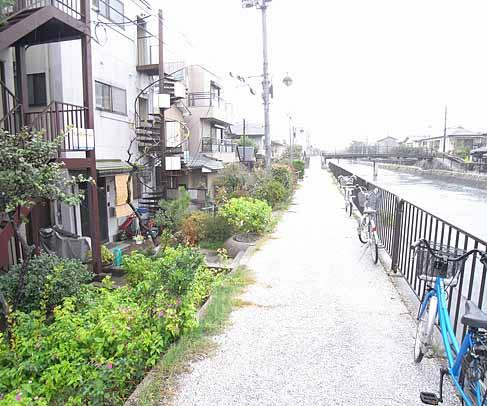 その他　疎水沿いを散歩できます
