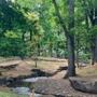 公園　駒沢緑泉公園（公園）まで528m