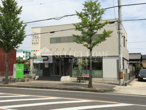 病院　さいとう動物病院（病院）まで163m