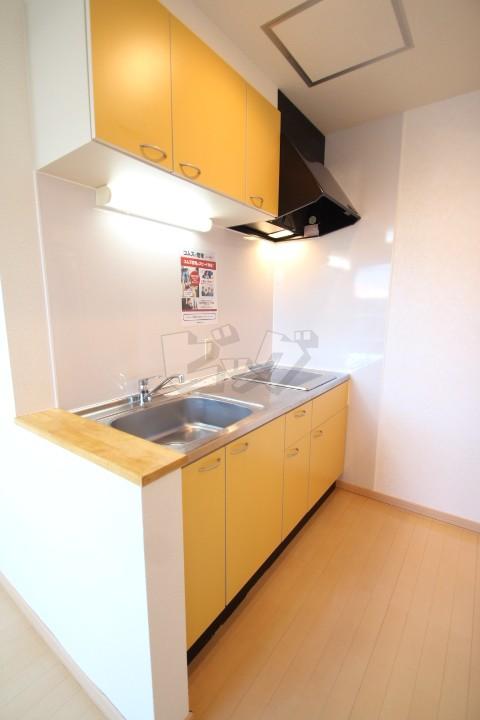 キッチン　嬉しいシステムキッチン付きです♪コンロを買わなくてもOK♪