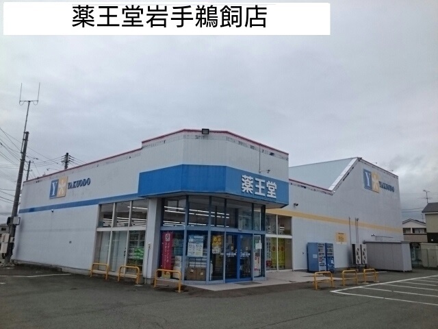 ドラックストア　薬王堂（ドラッグストア）まで850m