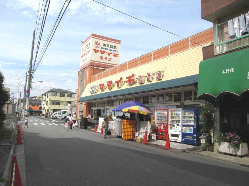 スーパー　ヤマイチ鹿骨店（スーパー）まで800m